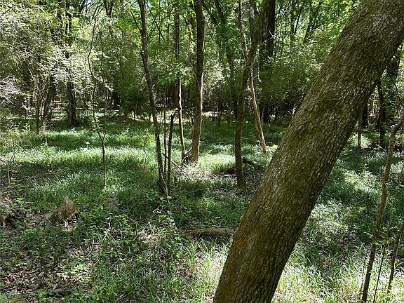 4th image of 0 Old Selma Rd