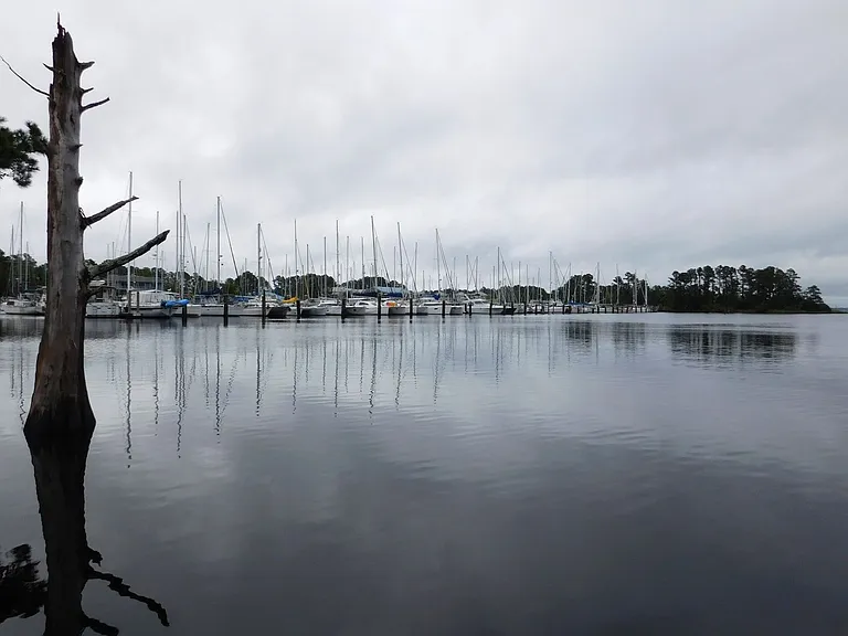 6222 Harbourside Dr — Photo 22