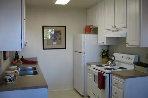 Kitchens include a dishwasher - Riverstone Apartments