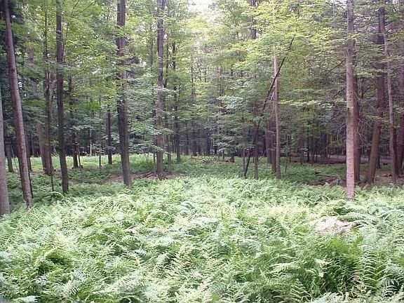 6 acres to be built on