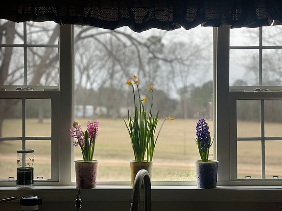 Kitchen view