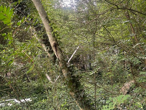4th image of 0 Surber Rd