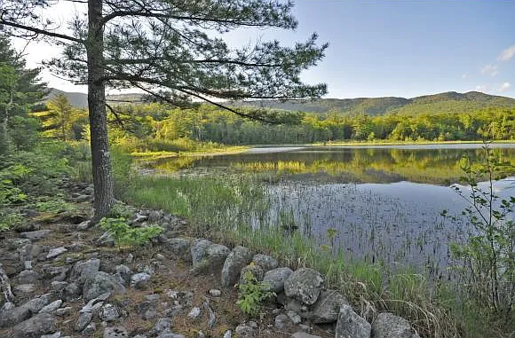 1279 Route 113 — Photo 20