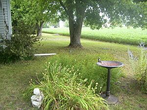 5th image of 804 Carriage Lane Est