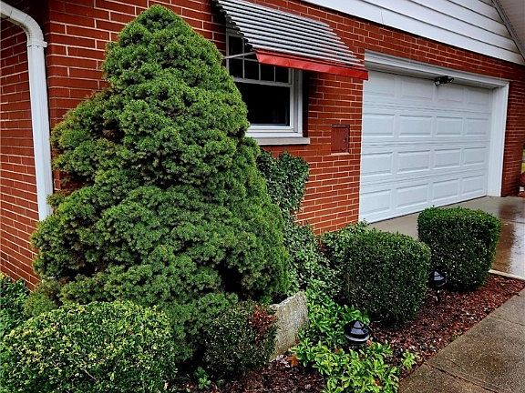 3rd image of 1306 Maplewood Dr