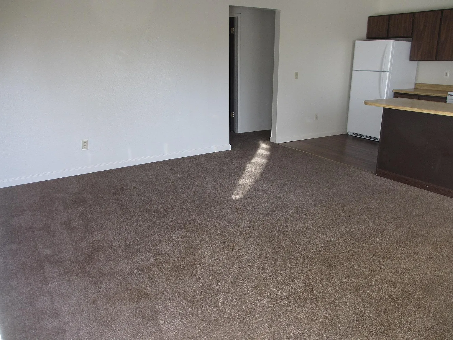 1 bed, 583 sqft, $875 — Photo 3