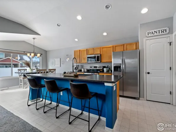 907 Barasingha St, Severance, CO 80550