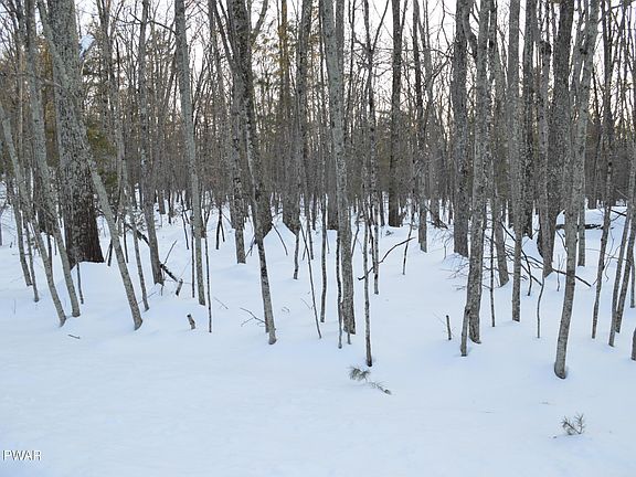 2nd image of Bear Paw Dr