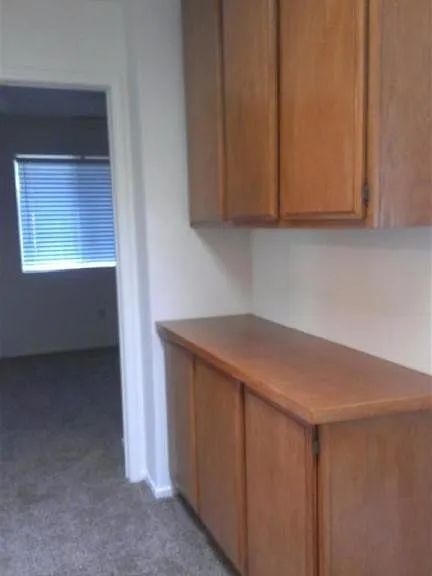 4117 Lost Springs Dr — Photo 4