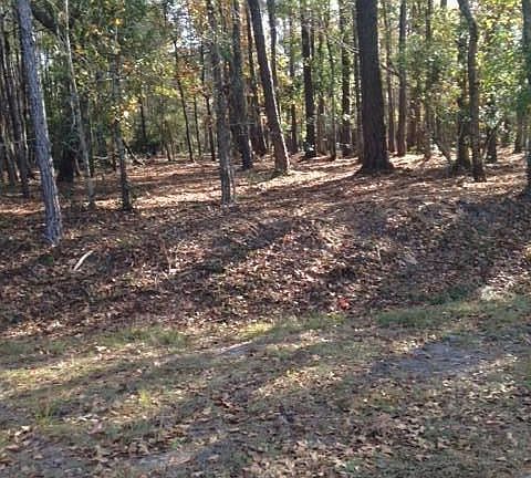 3rd image of Lot 21-B Capt Beam Boulevard