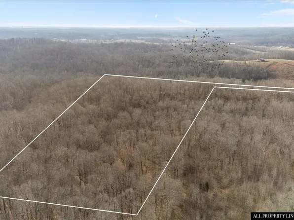 3955 Possum Hollow Rd, Palmyra, TN 37142