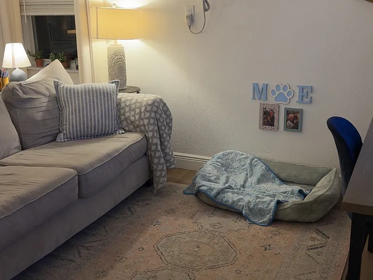 807 W Idlewild Ave — Photo 7