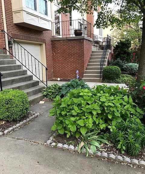 12016 Johns Pl — Photo 5