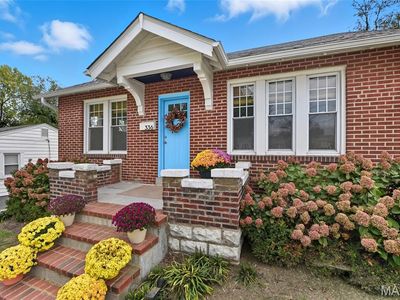336 Madison Ave, Saint Louis, MO, 63119