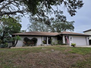 358 Killinger Ave, Spring Hill, FL 34606