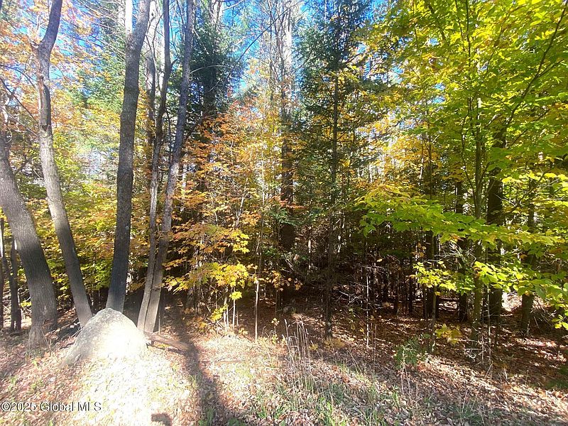 3rd image of L36 County Route 29