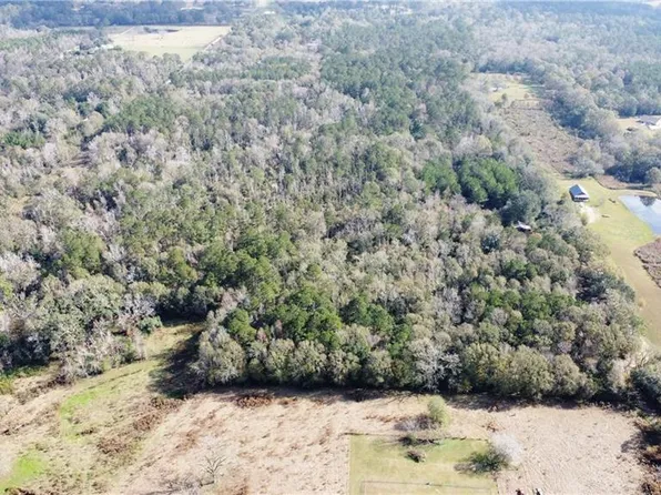 10800 Jesse Ard Rd, Loranger, LA 70437