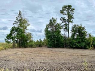 Wise Farm Rd PARCEL A, Aynor, SC 29511