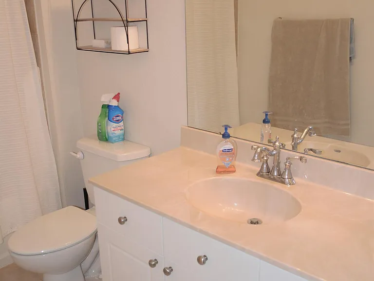 10817 Thames Vista Ct — Photo 33