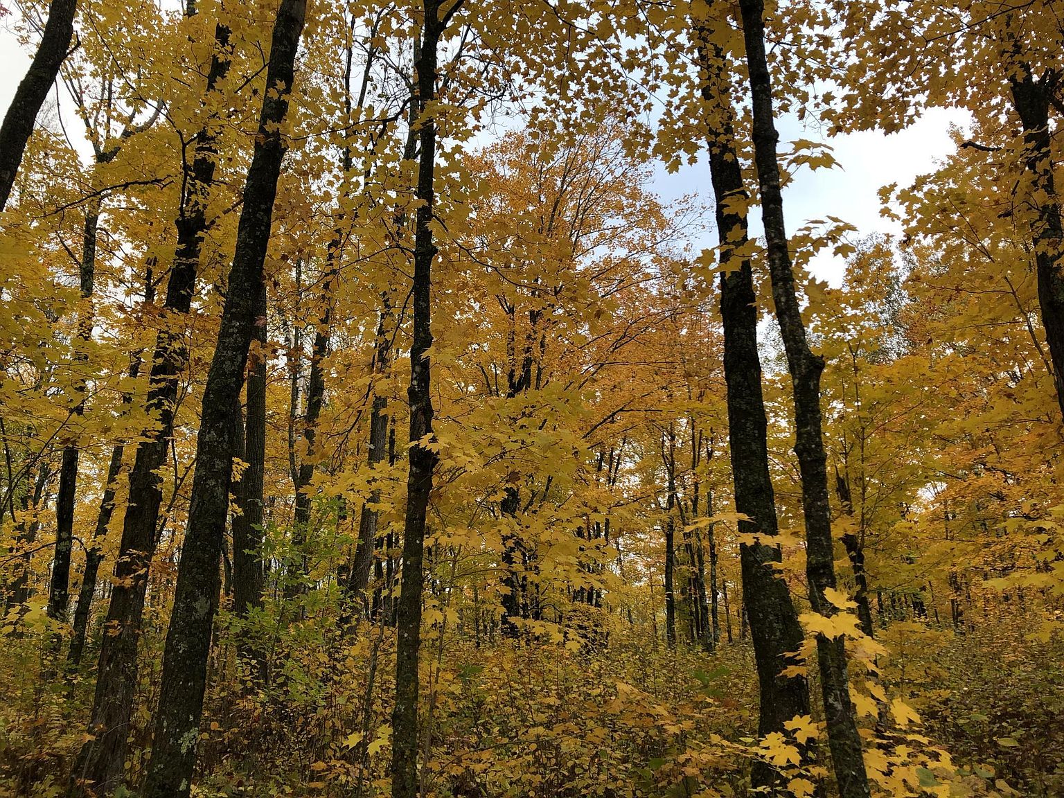 72XX Brown Rd, Kettle River, MN 55757 Zillow