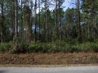 10635 Zigler Ave, Hastings, FL 32145