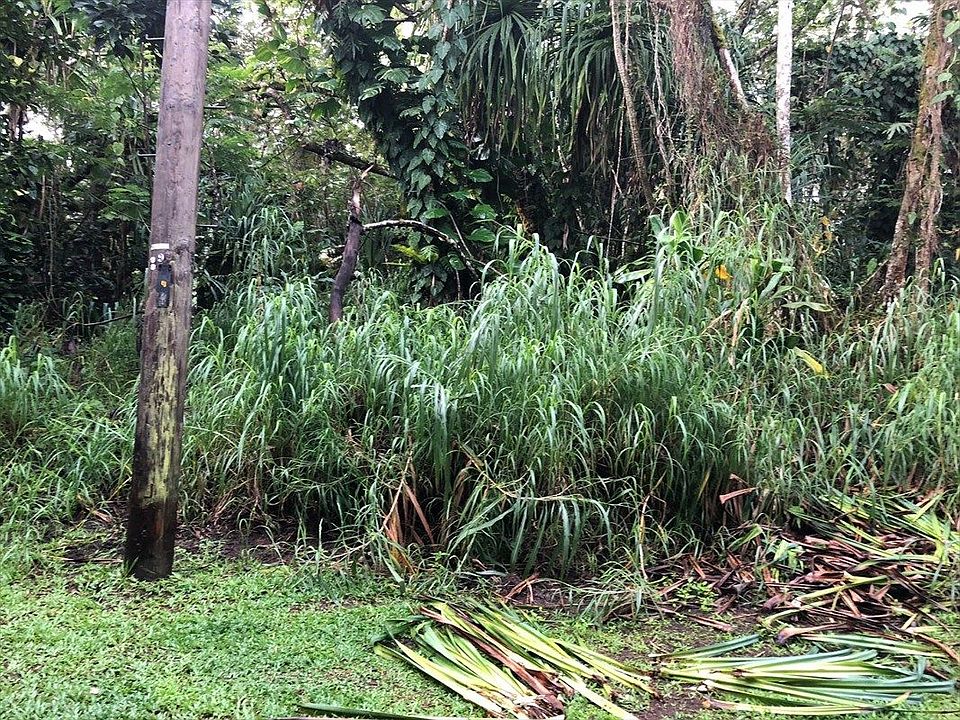 1st image of 15-2818 Oopu St