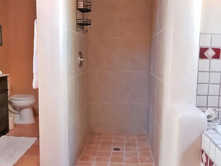 Ample bathroom features