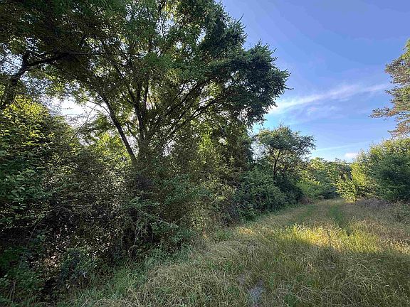 5th image of 81.67 Acres - Twin Church Rd