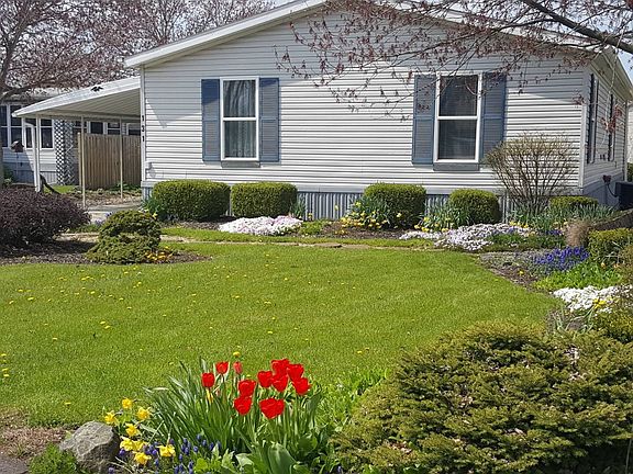 3rd image of 131 Birchbark Dr