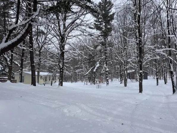 7808 E 48th St, Chase, MI 49623