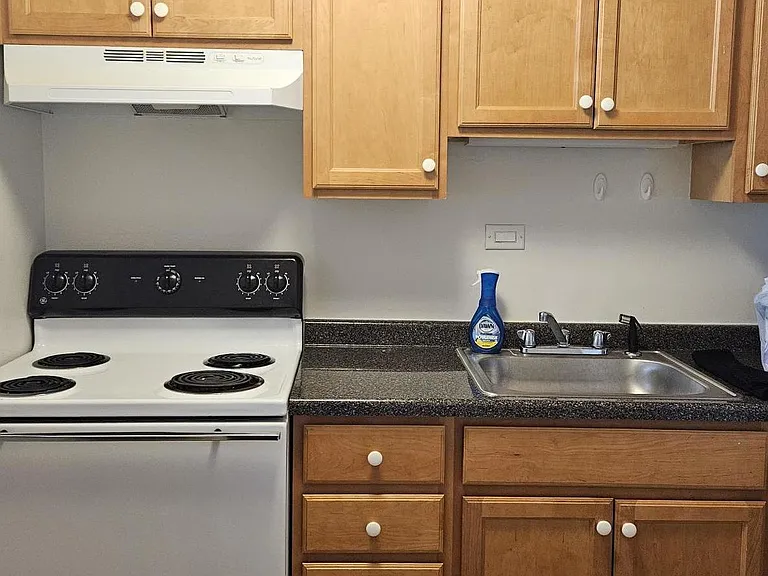 555 W Cornelia Ave #2009 — Photo 5