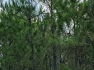 25 Dale Drive Columbia Rd, Orangeburg, SC 29118