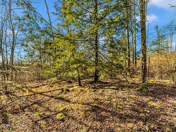 4th image of LOT Six Mountain Rd