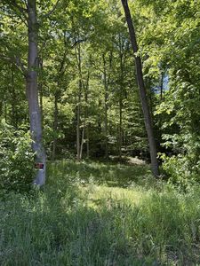 560 Sunfish Creek Rd, Piketon, OH, 45661
