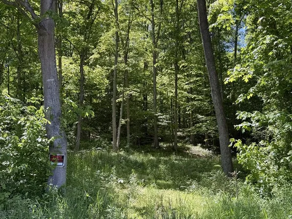 560 Sunfish Creek Rd, Piketon, OH 45661