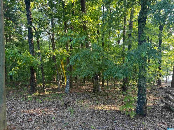 0 Davis Acres Dr #72 & 73, Alpine, AL 35014