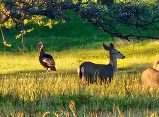 9145 Hunters Valley Rd, Mariposa, CA
