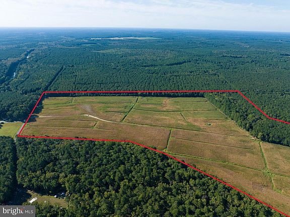 4th image of 0 Greenbriar Swamp Rd