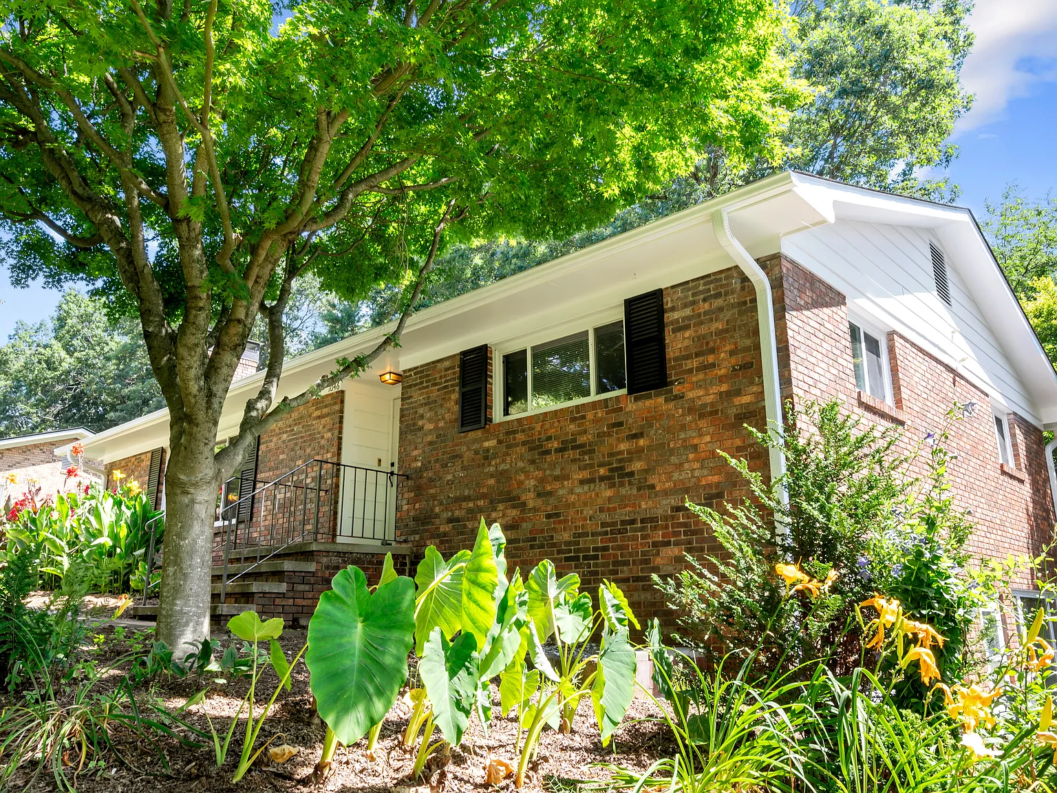 3 bed, 1553 sqft, $2,450 — Photo 3