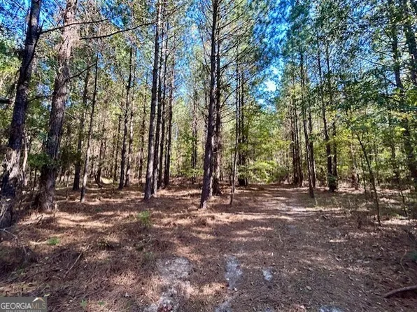 0 Elam Church Rd, Warrenton, GA 30828