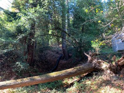 21741 Lindbergh Dr, Los Gatos, CA, 95033