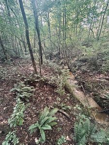 202 Tobe Bridge Rd #3, Kings Mountain, NC, 28086