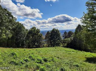 4022 Duff Patt Hwy, Duffield, VA 24244