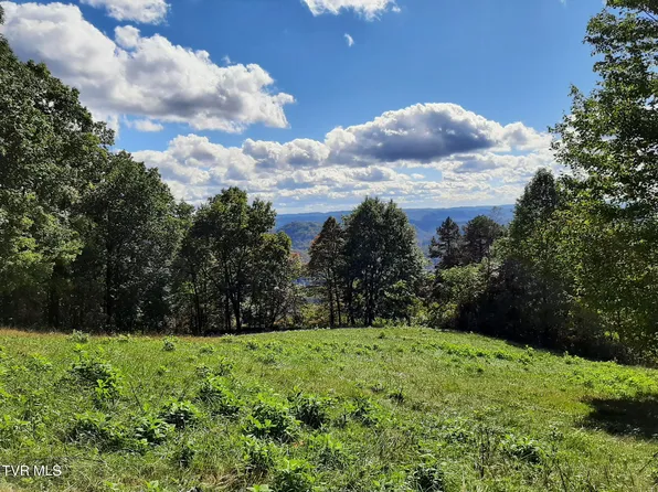 4022 Duff Patt Hwy, Duffield, VA 24244