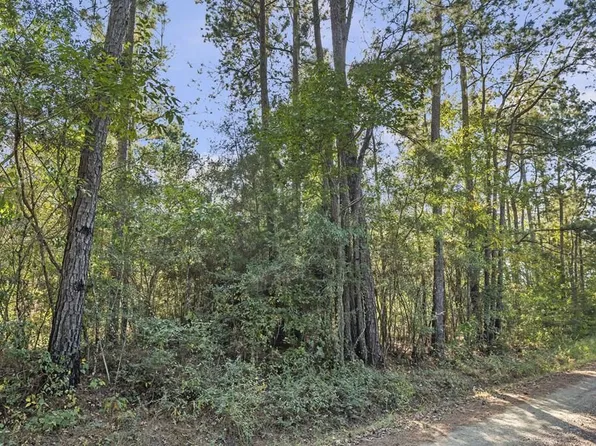 R32307 Sandy Creek Rd, Zavalla, TX 75980