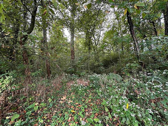 5th image of Spring Dr