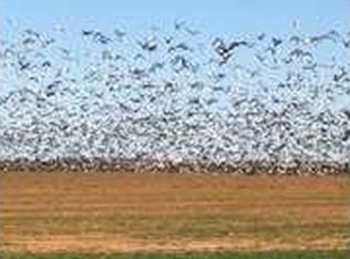 179 County Road 113, Rochester, TX 79544