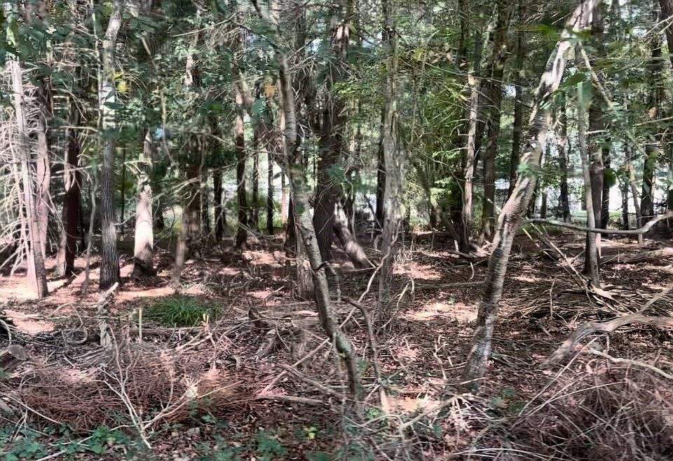 1st image of 10 Bowler Rd