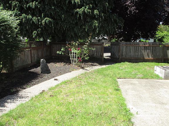 Yard Area