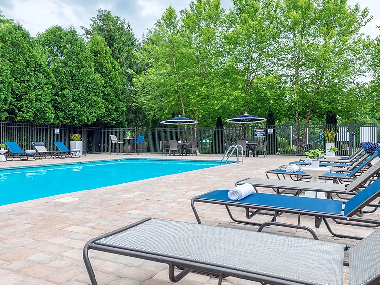 Experience pure joy with a refreshing swim in our sparkling pool and lounge under the sun.